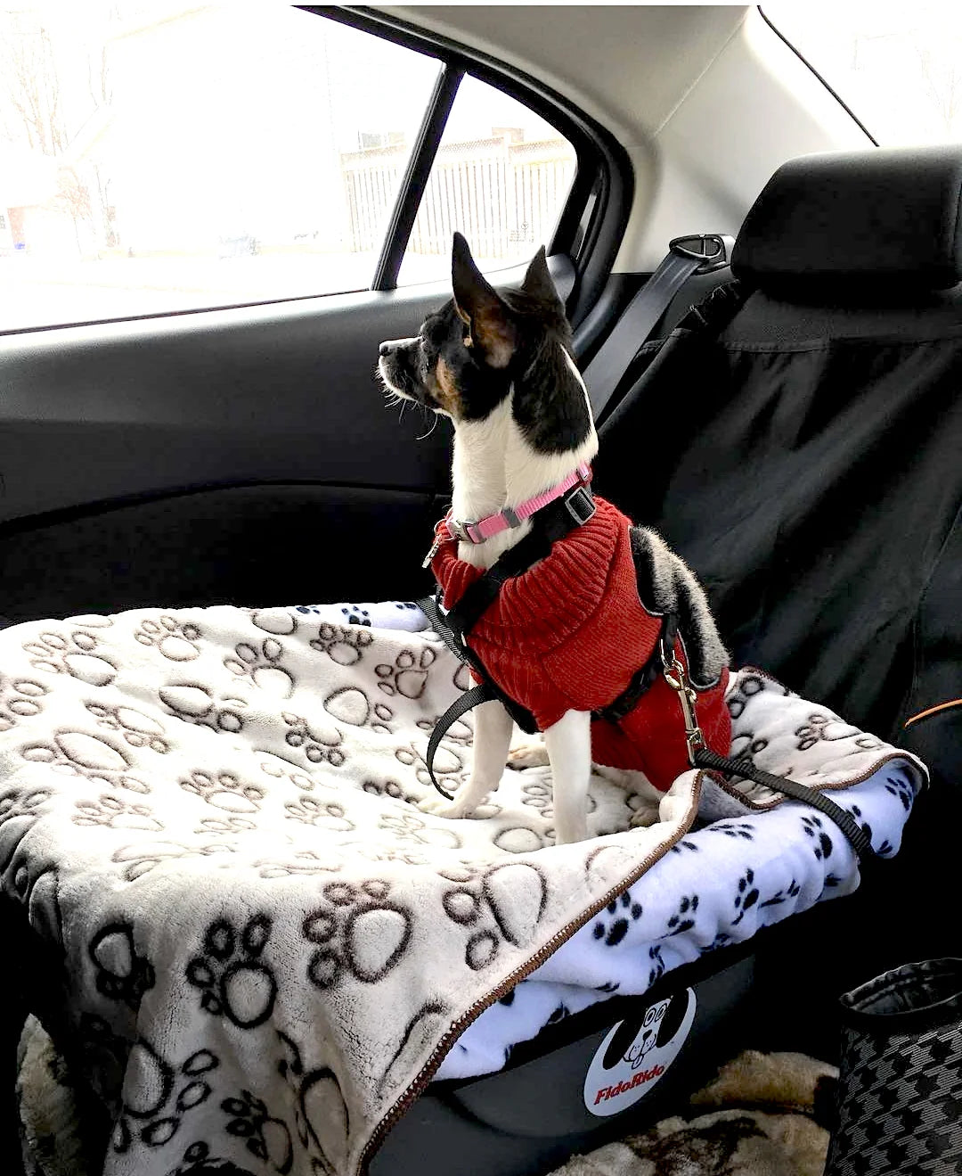 Fidorido Pet Car Seat