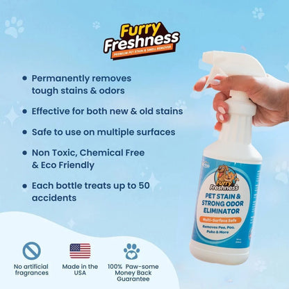 Stain & Odor Eliminator Spray Bottle Options